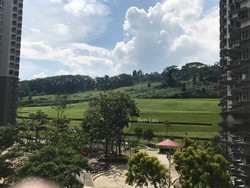 Blk 383 Bukit Batok West Avenue 5 (Bukit Batok), HDB 4 Rooms #191423432